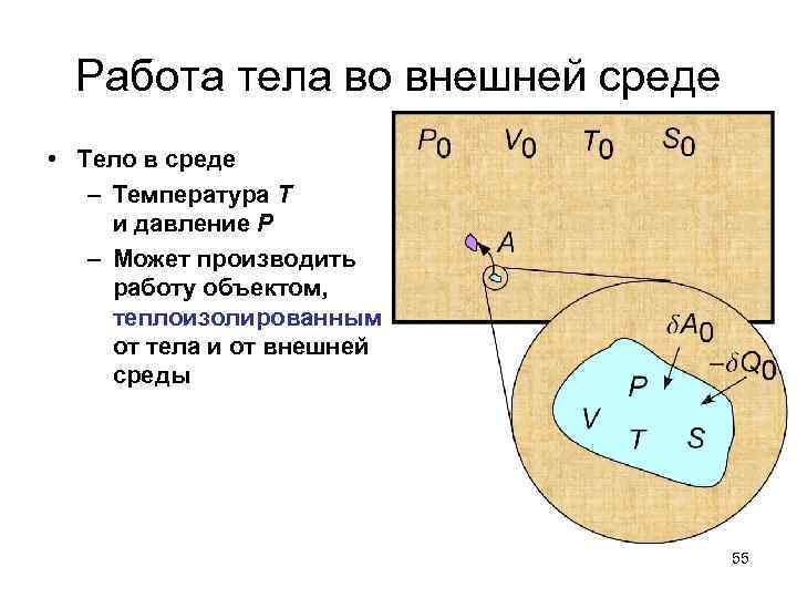 Работа тела во внешней среде • Тело в среде – Температура T и давление