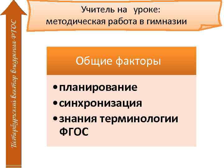 Петербургский вектор внедрения ФГОС Учитель на уроке: методическая работа в гимназии Общие факторы •