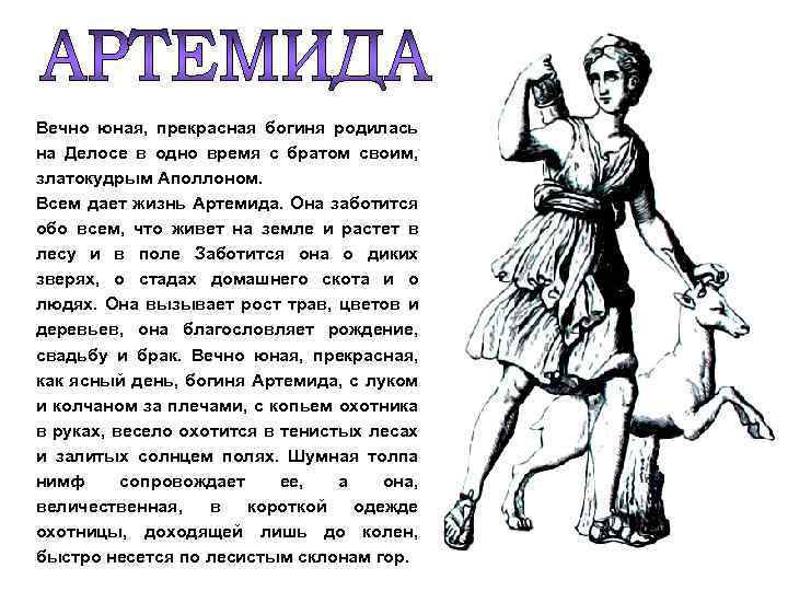 Вечно юная, прекрасная богиня родилась на Делосе в одно время с братом своим, златокудрым