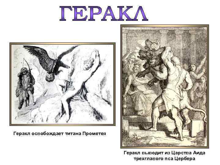 Геракл освобождает титана Прометея Геракл выводит из Царства Аида трехглавого пса Цербера 
