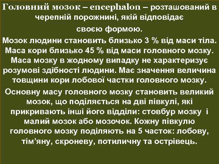 Головний мозок – encephalon – розташований в черепній порожнині, якій відповідає своєю формою. Мозок