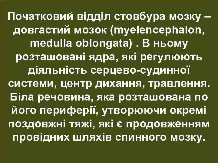 Початковий відділ стовбура мозку – довгастий мозок (myelencephalon, medulla oblongata). В ньому розташовані ядра,