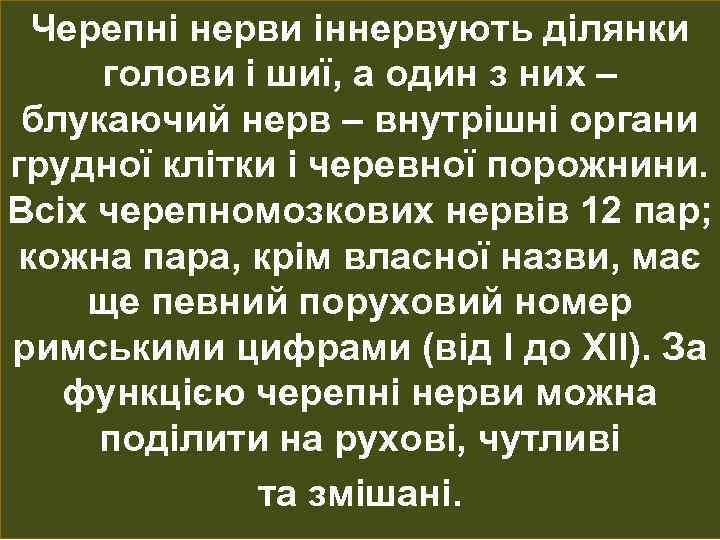 Черепні нерви іннервують ділянки голови і шиї, а один з них – блукаючий нерв