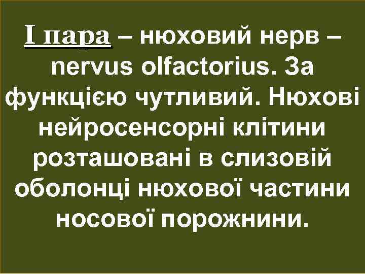 І пара – нюховий нерв – nervus olfactorius. За функцією чутливий. Нюхові нейросенсорні клітини