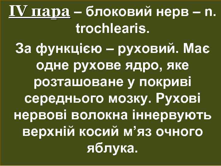 IV пара – блоковий нерв – n. trochlearis. За функцією – руховий. Має одне