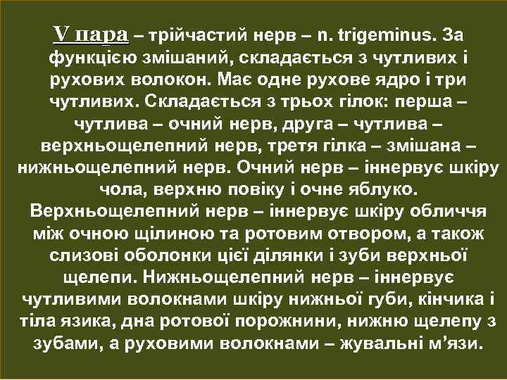 V пара – трійчастий нерв – n. trigeminus. За функцією змішаний, складається з чутливих