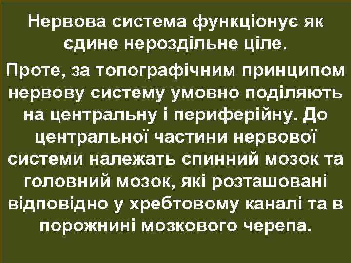 Нервова система функціонує як єдине нероздільне ціле. Проте, за топографічним принципом нервову систему умовно