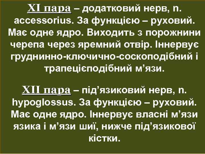 ХІ пара – додатковий нерв, n. accessorius. За функцією – руховий. Має одне ядро.