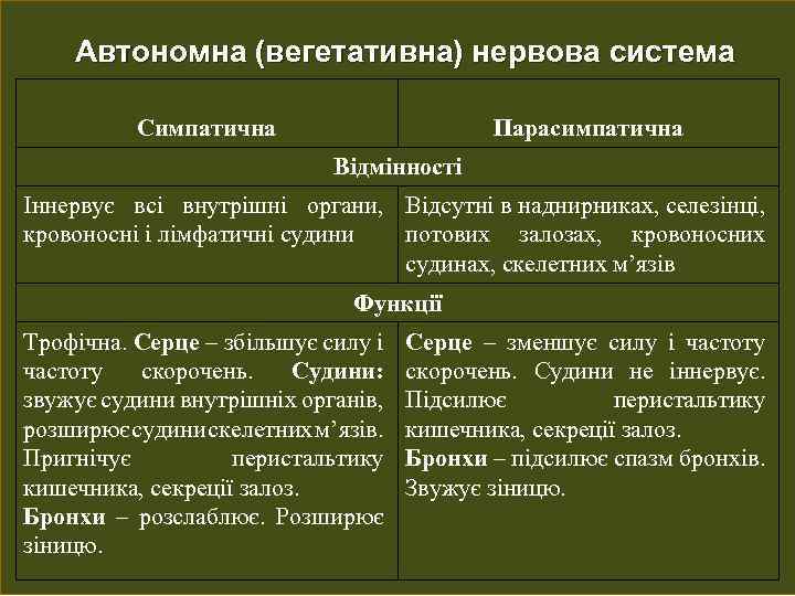 Автономна (вегетативна) нервова система Симпатична Парасимпатична Відмінності Іннервує всі внутрішні органи, Відсутні в наднирниках,