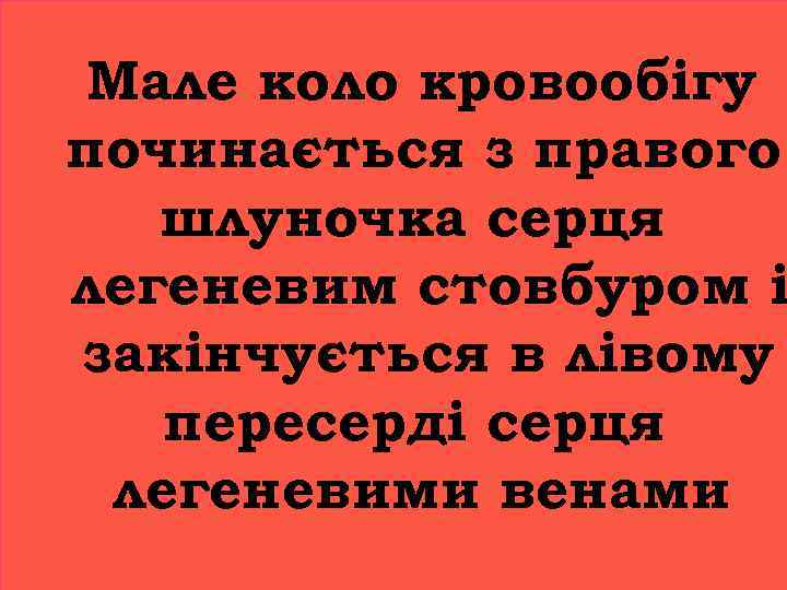 Мале коло кровообігу починається з правого шлуночка серця легеневим стовбуром і закінчується в лівому