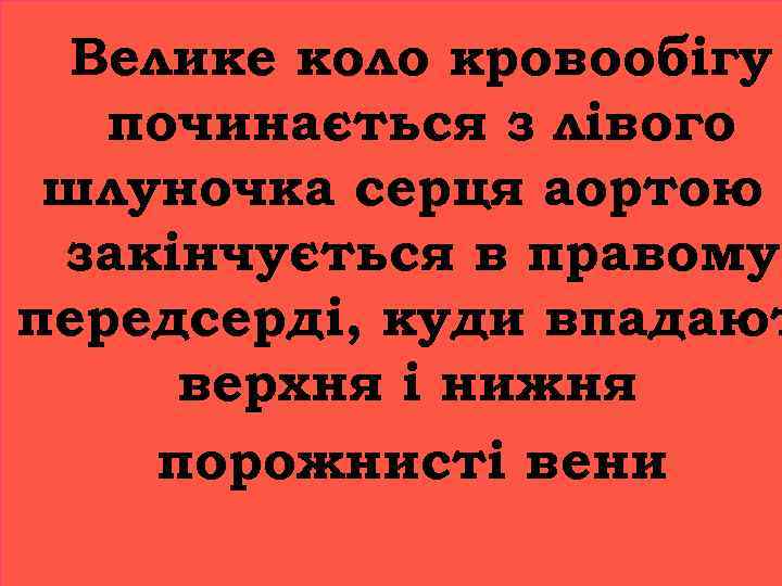 Велике коло кровообігу починається з лівого шлуночка серця аортою закінчується в правому передсерді, куди