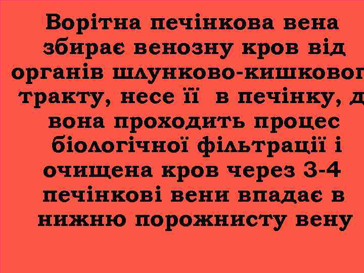 Ворітна печінкова вена збирає венозну кров від органів шлунково-кишковог тракту, несе її в печінку,