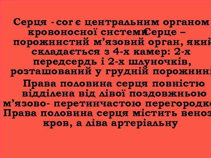 Серця - cor є центральним органом кровоносної системи. Серце – порожнистий м’язовий орган, який