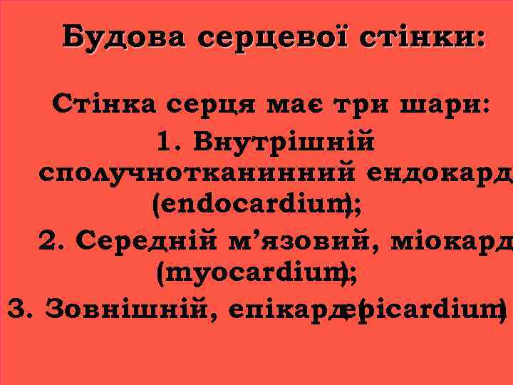 Будова серцевої стінки: Стінка серця має три шари: 1. Внутрішній сполучнотканинний ендокард (endocardium );