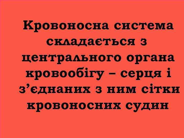 Кровоносна система складається з центрального органа кровообігу – серця і з’єднаних з ним сітки