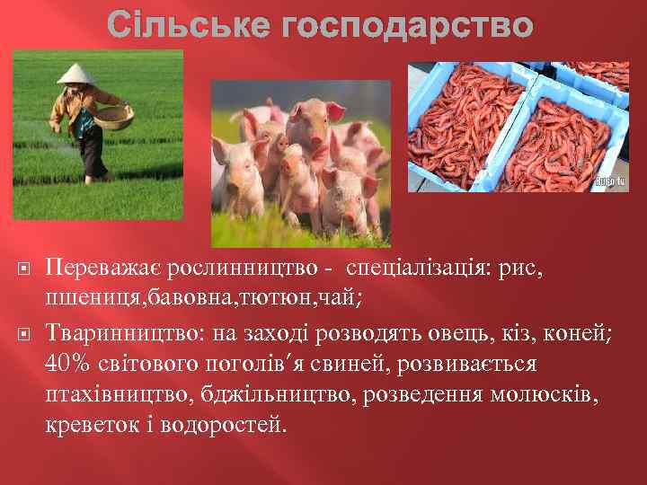 Сільське господарство Переважає рослинництво - спеціалізація: рис, пшениця, бавовна, тютюн, чай; Тваринництво: на заході