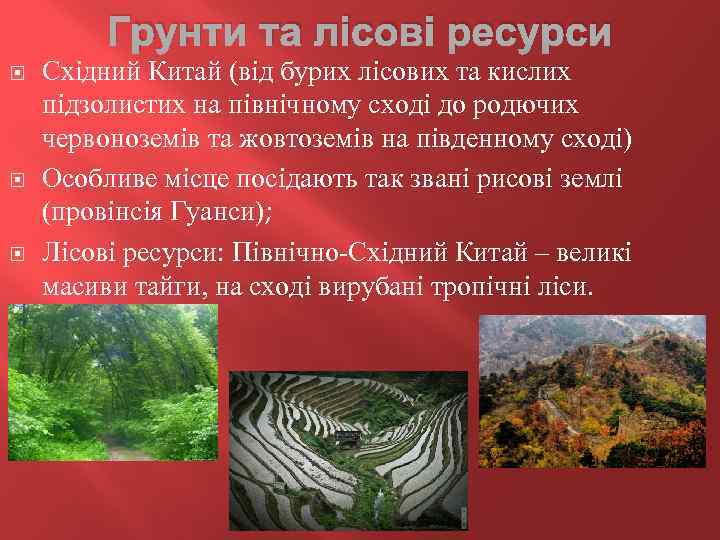 Грунти та лісові ресурси Східний Китай (від бурих лісових та кислих підзолистих на північному