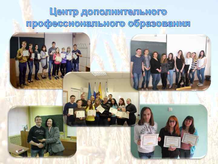 Центр дополнительного профессионального образования 