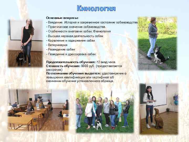 Кинология Основные вопросы: - Введение. История и современное состояние собаководства. - Практическое значение собаководства.