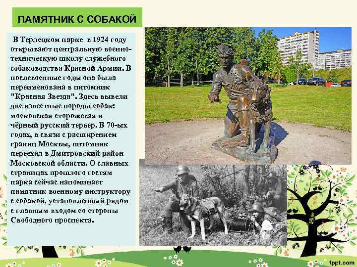 ПАМЯТНИК С СОБАКОЙ В Терлецком парке в 1924 году открывают центральную военнотехническую школу служебного
