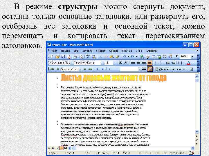 Режим структуры word 2019