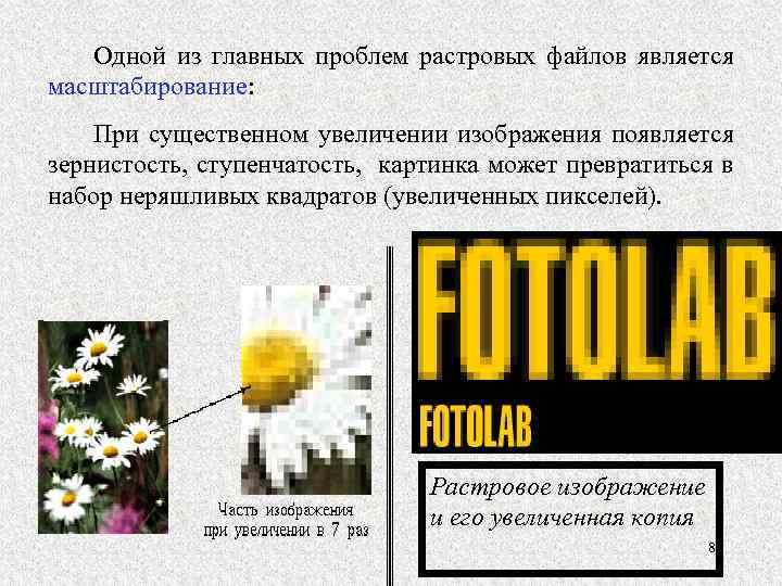 Одной из главных проблем растровых файлов является масштабирование: При существенном увеличении изображения появляется зернистость,
