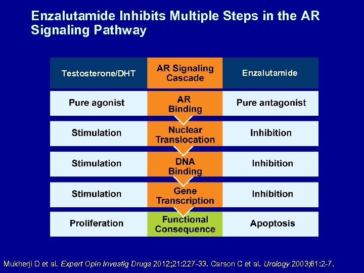 Enzalutamide Inhibits Multiple Steps in the AR Signaling Pathway Testosterone/DHT Enzalutamide Mukherji D et