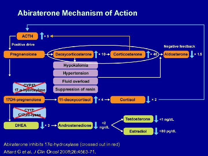 Abiraterone Mechanism of Action Abiraterone inhibits 17α-hydroxylase (crossed out in red) Attard G et
