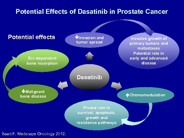 Potential Effects of Dasatinib in Prostate Cancer Potential effects Invasion and tumor spread Src-dependent