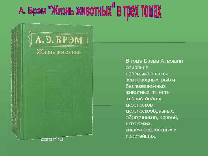 В тома Брэма А. вошли описания пресмыкающихся, земноводных, рыб и беспозвоночных животных, то есть