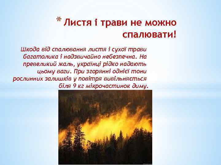 * Листя і трави не можно спалювати! Шкода від спалювання листя і сухої трави