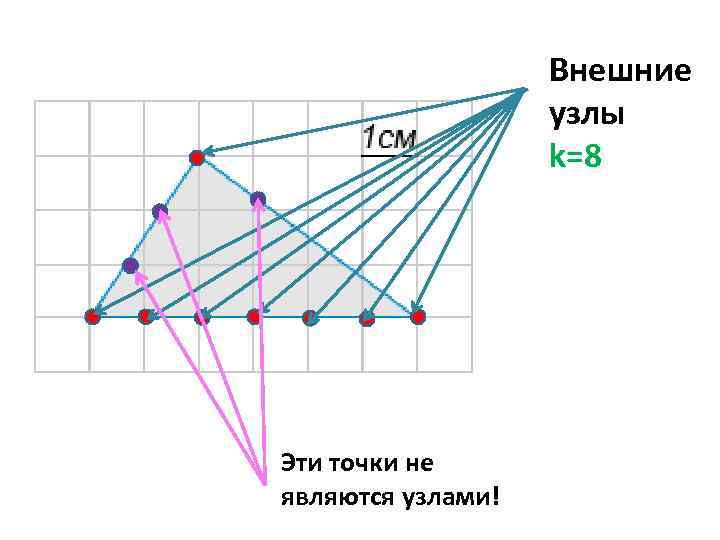 Внешние узлы k=8 Эти точки не являются узлами! 