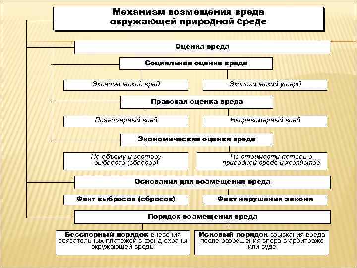 Механизм возмещения вреда окружающей природной среде Оценка вреда Социальная оценка вреда Экономический вред Экологический