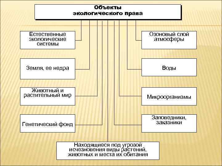 Природные объекты схема