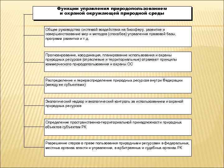 Функции управления природопользованием и охраной окружающей природной среды Общее руководство системой воздействия на биосферу,