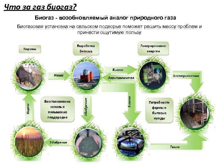 Что за газ биогаз? Биогаз - возобновляемый аналог природного газа Биогазовая установка на сельском