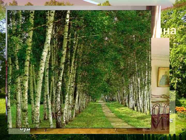 Ясная поляна "Без своей Ясной Поляны я трудно могу себе представить Россию и мое