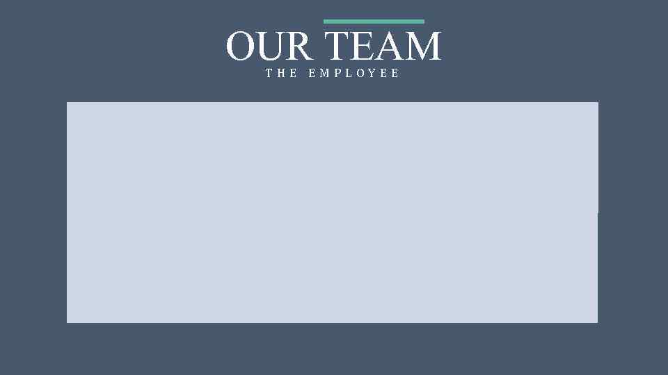 OUR TEAM THE EMPLOYEE 