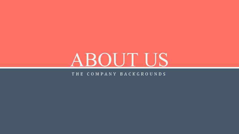 ABOUT US THE COMPANY BACKGROUNDS 