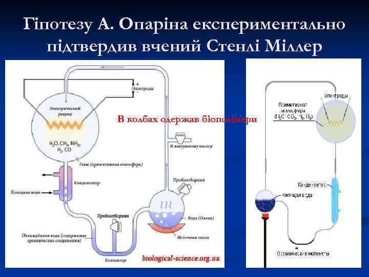 Гіпотезу А. Опаріна експериментально підтвердив вчений Стенлі Міллер В колбах одержав біополімери 