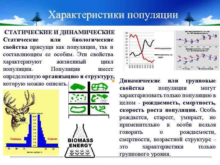 Характеристики популяции СТАТИЧЕСКИЕ И ДИНАМИЧЕСКИЕ Статические или биологические свойства присущи как популяции, так и