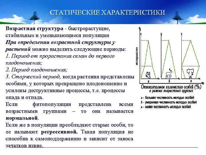 СТАТИЧЕСКИЕ ХАРАКТЕРИСТИКИ Возрастная структура - быстрорастущие, стабильные и уменьшающиеся популяции При определении возрастной структуры
