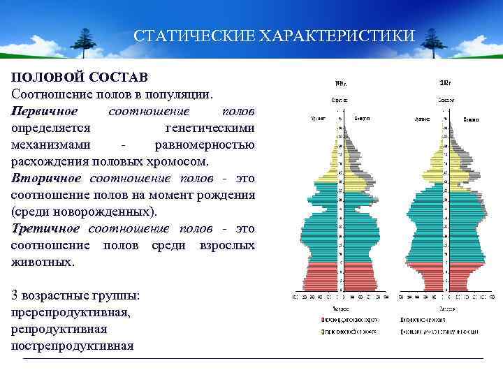 СТАТИЧЕСКИЕ ХАРАКТЕРИСТИКИ ПОЛОВОЙ СОСТАВ Соотношение полов в популяции. Первичное соотношение полов определяется генетическими механизмами