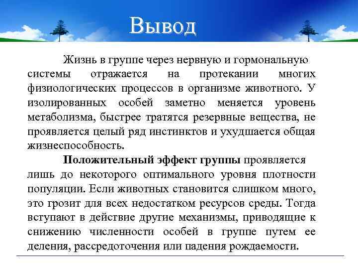 Жизненные выводы