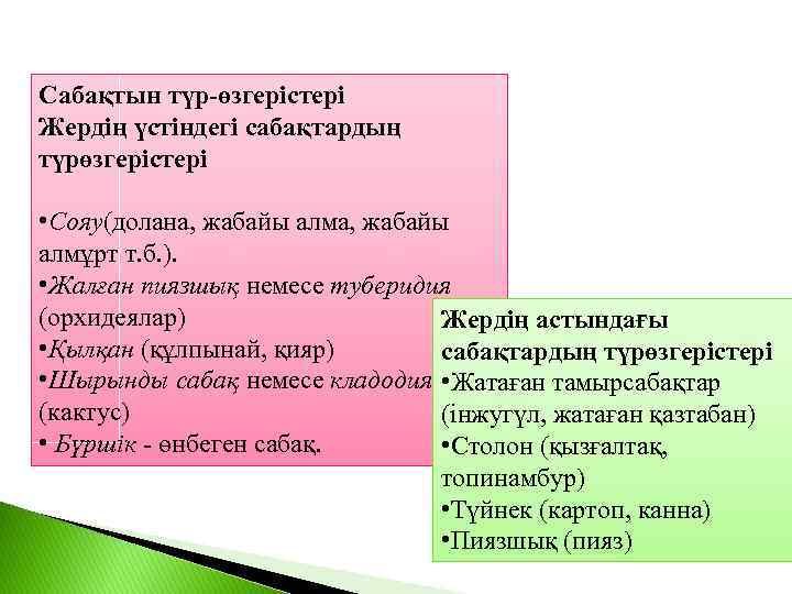 Сабақтын түр-өзгерістері Жердің үстіндегі сабақтардың түрөзгерістері • Сояу(долана, жабайы алмұрт т. б. ). •