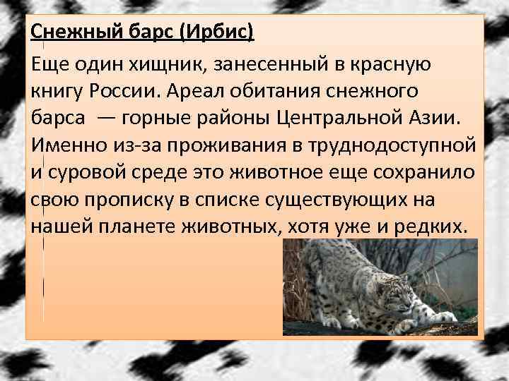 Снежный барс (Ирбис) Еще один хищник, занесенный в красную книгу России. Ареал обитания снежного