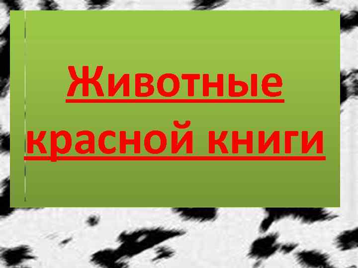 Животные красной книги 