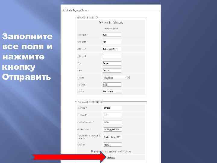 Заполните все поля и нажмите кнопку Отправить 