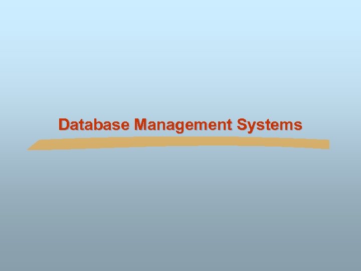 Database Management Systems 