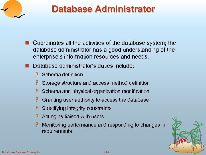 Database Administrator n Coordinates all the activities of the database system; the database administrator